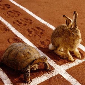 Mastering the Pace of Change