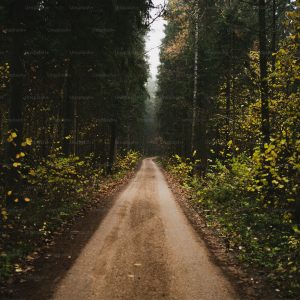 Key Paths to Revitalizing the Local Church