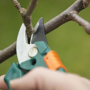 Letting Go of Ministries That No Longer Serve: A Path to Church Renewal