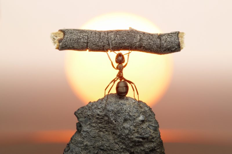 Providing Leadership When the Church Needs Direction