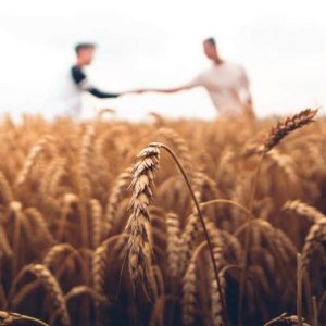 The Five Priorities of the Great Commission