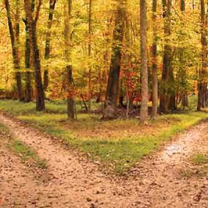 Innovation or Renovation? Why Most Churches Choose the Wrong Path