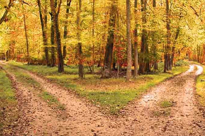 Innovation or Renovation? Why Most Churches Choose the Wrong Path